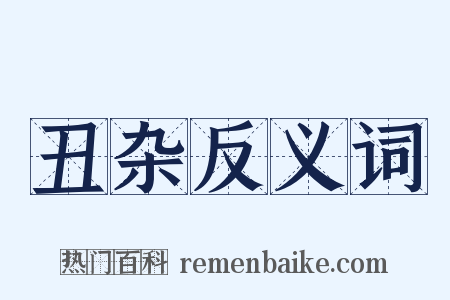 丑杂反义词是什么意思的图片
